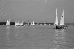 Hungary, Balatonalmádi, az ifjúsági magyar bajnokság egyik futama., 1963, Tölg Anna, Fortepan #189876