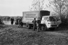 1963, Tölg Anna, Bedford-brand, Bedford TK, Fortepan #189896