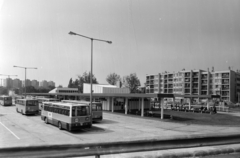 Magyarország, Gödöllő, autóbusz-pályaudvar, jobbra a Szabadság út., 1986, UVATERV, autóbusz, Ikarus-márka, Ikarus 256, Fortepan #189978