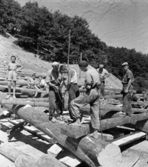 1952, UVATERV, worker, trunk, boring machine, Fortepan #190082