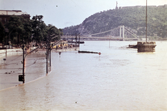 Hungary, Budapest V.,Budapest I., a pesti alsó rakpart árvíz idején a Széchenyi Lánchíd pesti hídfőjénél, háttérben az Erzsébet híd és a Gellért-hegy., 1965, Wittner Lucia, colorful, tram, flood, wharf, Danube, Budapest, Fortepan #190163