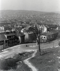 Magyarország, Budapest I., várlejtő, előtérben keresztbe a Palota út, középen a Tábor utca torkolata., 1947, Zagyva Tiborné, Budapest, látkép, ösvény, Fortepan #190281