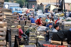 Magyarország, Budapest XIV., a felvétel a Bosnyák téri Vásárcsarnok melletti nagybani piacon készült., 1981, Szalay Zoltán, színes, Budapest, Fortepan #190911