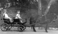 Magyarország, Városliget,Állatkert, Budapest XIV., pónifogat., 1936, Jankovszky György, ló, hintó, fogat, gyerekek, kettős portré, lószerszám, póniló, Budapest, gyerekmunka, Fortepan #19092