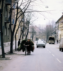 Hungary, Szeged, Sóhordó (Kossuth) utca a József Attila sugárúttól a Dugonics utca kereszteződése felé nézve., 1976, Szalay Zoltán, colorful, bicycle, wreath, Fortepan #191075