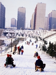 Magyarország, Budapest X., Kőbánya Újhegyi lakótelep. Szocialista Brigádok Parkja (később Bányató Park) a bányató mellett., 1980, Szalay Zoltán, színes, Budapest, Fortepan #191097