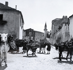 Bosznia-Hercegovina, Trebinje, szemben az Ahmed szultán-mecset., 1938, Kieselbach Gyula, szamár, minaret, Fortepan #191414