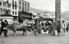 Portugália,Madeira-szigetek,Madeira, Funchal, a Rua Do Visconde De Anadia a Rua Dr. Fernão de Ornelas torkolatától a Rua do Carmo felé nézve. Fatalpú ökrös szán., 1933, Kieselbach Gyula, szán, ökörfogat, Fortepan #191721