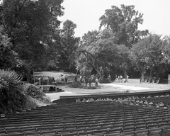 Magyarország, Margitsziget, Budapest, Margitszigeti Szabadtéri Színpad., 1960, Kotnyek Antal, szabadtéri színpad, Fortepan #19173