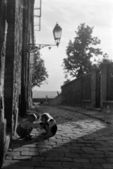 Magyarország, budai Vár, Budapest I., Móra Ferenc utca a Tóth Árpád sétány felé nézve., 1955, Kriss Géza, Budapest, gyerekek, aszfaltrajz, gázlámpa, Fortepan #191847