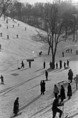 Magyarország, Budapest XII., Harangvölgy a Normafa alatt., 1955, Kriss Géza, síelés, Budapest, Best of, Fortepan #191878