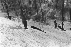 Hungary, Budapest XII., Harangvölgy a Normafa alatt., 1955, Kriss Géza, skiing, Budapest, Fortepan #191879