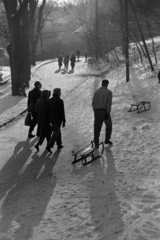 Hungary, Budapest XII., Zugliget, szemben a fák között a Zugligeti út 114-es számú villa oldala látható., 1957, Kriss Géza, snow, sledge, Budapest, Fortepan #191950