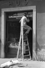 Hungary, Győr, Széchenyi tér 3., Húsbolt., 1966, Kriss Géza, shop, portal, label, sitting on a ladder, sign painter, extinct crafts, Fortepan #191969