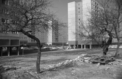 Magyarország, Óbuda, Budapest III., panelházak a Kórház utca - Polgár utca - Vöröskereszt utca határolta területen, távolabb a Miklós utca házsora., 1977, Kriss Géza, Budapest, Fortepan #192363