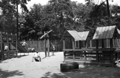 Hungary, Budapest XIV., játszótér., 1978, Kriss Géza, playground, Budapest, Fortepan #192412