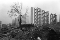 Hungary, Budapest VIII., a Szigony utcai bontási területtől az Illés utca megmaradt házai felé nézve. Szemben a Losonci tér és a Práter utca közötti épületek., 1976, Kriss Géza, Budapest, Fortepan #192550