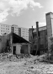 Magyarország, Budapest VIII., a Leonardo da Vinci utca épületeinek bontása, háttérben a Szigony utcai panelsorház Leonardo da Vinci köz felőli homlokzata., 1983, Kriss Géza, Budapest, Fortepan #192782