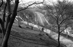 Magyarország, Gellérthegy, Budapest I., kilátás a Hegyalja út felé., 1971, Kriss Géza, Budapest, Fortepan #193212