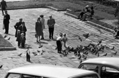 Hungary, Pécs, Széchenyi tér., 1976, Kriss Géza, kids, dove, Fortepan #193322