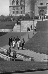 Magyarország, Tabán, Budapest I., a Ferdinánd Kapuhoz vezető lépcső az Apród utcából nézve., 1972, Kriss Géza, Budapest, Fortepan #193379