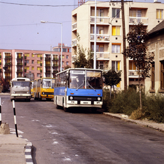 Magyarország, Orosháza, Thököly utca, buszállomás., 1982, Gábor Viktor, színes, autóbusz, Ikarus-márka, rendszám, Ikarus 66, Ikarus 256, Ikarus 266, Fortepan #193586