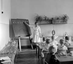 1961, Gábor Viktor, classroom, blackboard, school desk, indoor plants, teacher, Fortepan #193673