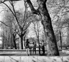 Magyarország, Margitsziget, Budapest, a felvétel a Hajós Alfréd Nemzeti Sportuszoda közelében készült., 1971, Gábor Viktor, ping pong, ping pong asztal, Fortepan #193720