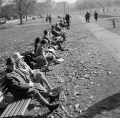 Magyarország, Margitsziget, Budapest, háttérben a Szent István park épületei., 1971, Gábor Viktor, pad, park, napsütés, Fortepan #193721