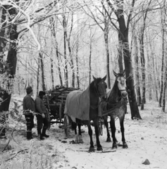 1971, Gábor Viktor, Fortepan #193752