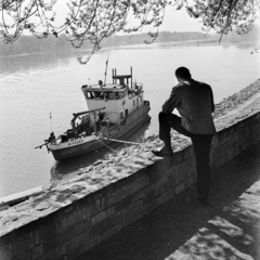 Magyarország, Szentendre, Duna korzó (Somogyi-Bacsó part), kilátás a Postás strand felé., 1966, Gábor Viktor, Kitűző V. hajó, Fortepan #193769