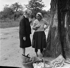 Magyarország, Pócsmegyer, Surány, Móricz Virág írónő, Pest megyei országgyűlési képviselő (középen) látogatása a településen., 1966, Gábor Viktor, Fortepan #193818