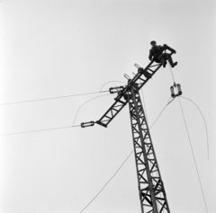 Magyarország, Gödöllő, a mikrohullámú állomás energiaellátását biztosító hálózat építése., 1960, Gábor Viktor, alulnézet, porcelán szigetelő, távvezeték, Fortepan #193847