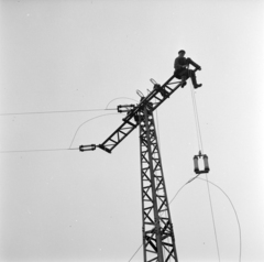 Magyarország, Gödöllő, a mikrohullámú állomás energiaellátását biztosító hálózat építése., 1960, Gábor Viktor, alulnézet, porcelán szigetelő, távvezeték, Fortepan #193848