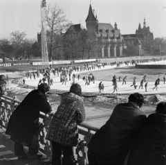 Magyarország, Városliget, Budapest XIV., Műjégpálya, háttérben a Vajdahunyad vára., 1971, Gábor Viktor, Budapest, Fortepan #193877