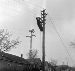 1971, Gábor Viktor, Fortepan #194036