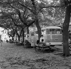 Magyarország, Békéscsaba, Szent István (István király) tér., 1974, Gábor Viktor, Ikarus 31/311, rendszám, Fortepan #194051