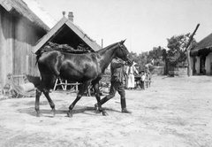 1920, Lencse Zoltán, village, horse, yard, thatch roof, shadoof, Fortepan #19411