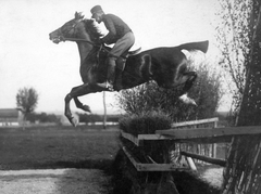 1920, Lencse Zoltán, obstacle racing, horse, rider, cavalry, Fortepan #19412