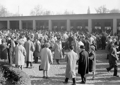 Magyarország, Budapest X., Albertirsai út, Lóversenypálya (később Kincsem park) mára lebontott kasszasora., 1964, Gyöngyi, kalap, tömeg, csoportosulás, lóverseny, galopp, ballonkabát, Budapest, Fortepan #1942