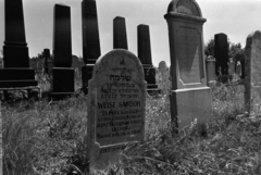 Hungary, Balassagyarmat, Temető utca 6., ortodox zsidó temető., 1974, Gábor Viktor, cemetery, tombstone, Fortepan #194222