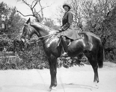 1920, Lencse Zoltán, horse, woman, rider, Fortepan #19425