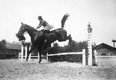 1920, Lencse Zoltán, obstacle racing, horse, rider, Fortepan #19427