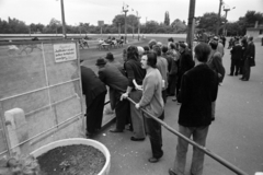 Hungary, Budapest VIII., Kerepesi úti Ügetőpálya.., 1976, Gábor Viktor, horse race, Budapest, Fortepan #194334