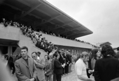 Hungary, Budapest VIII., Kerepesi úti Ügetőpálya, az I. helyi tribün., 1976, Gábor Viktor, horse race, Budapest, Fortepan #194335