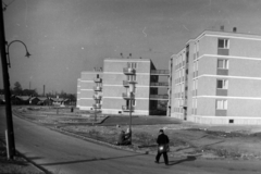 Magyarország, Budapest IX., József Attila lakótelep, Dési Huber utca az Ifjúmunkás utca felől, az Üllői út irányába nézve., 1961, Gábor Viktor, Budapest, lakótelep, Fortepan #194676