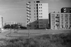 Magyarország, Budapest IX., József Attila lakótelep, az Ifjúmunkás utca a Dési Huber utca felől, a Pöttyös utca irányába nézve., 1961, Gábor Viktor, Budapest, lakótelep, Fortepan #194677