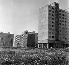 Magyarország, Tiszaújváros, (Leninváros), a felvétel a mai KRESZ park helyéről készült, jobbra a Barcsay Jenő tér 5-7., középen az ötszintes Szent István út 2-4., mögötte takarásban a Szent István út 1-11., bal szélen a Mátyás király út 2-4. számú ház., 1970, Bojár Sándor, Fortepan #194806