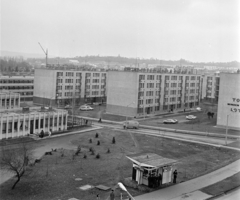 Magyarország, Zalaegerszeg, a Déryné (Madarász Andorné) utca házsora a Landorhegyi út felől nézve. Balra a Dr. Hamburger Jenő Általános Iskola (később Landorhegyi általános iskola)., 1974, Bojár Sándor, Fortepan #194888