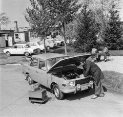 1974, Bojár Sándor, rendszám, Wartburg 353, gépjárműszerviz, Fortepan #194901